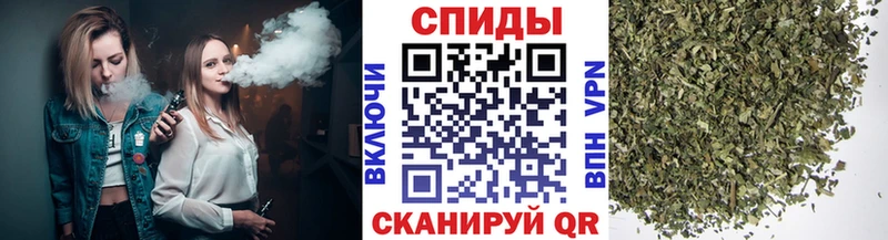 Купить  Дмитриев  БУТИРАТ BDO 33% 