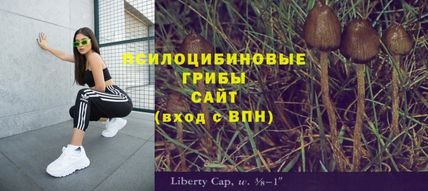 ECSTASY Навашино
