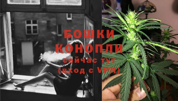 ECSTASY Навашино