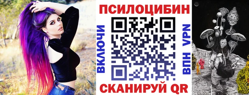 Галлюциногенные грибы Cubensis  Купить где  Дмитриев 