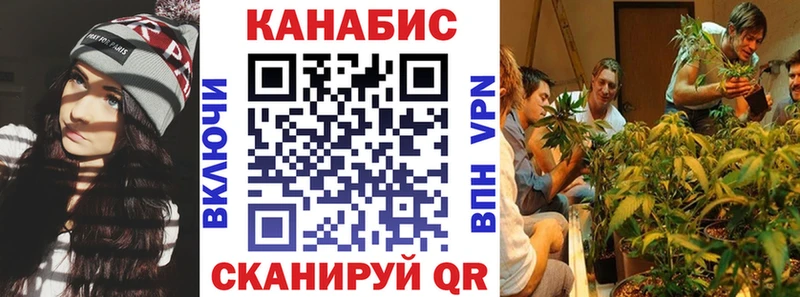 Бошки марихуана Amnesia  Купить закладки  Дмитриев 